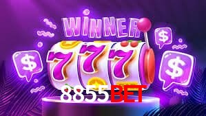 Experiência VIP 8855BET