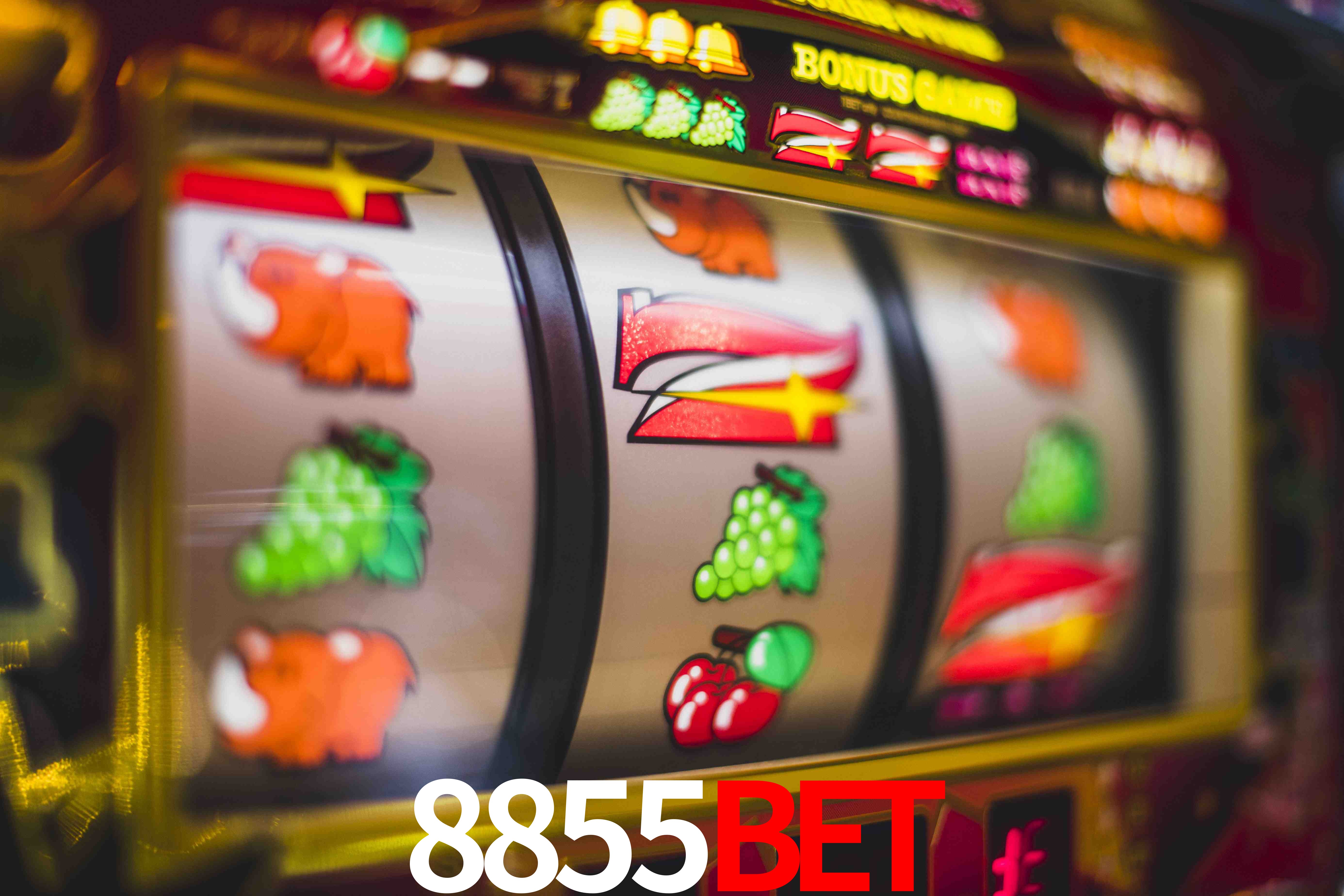 Football Betting 8855BET